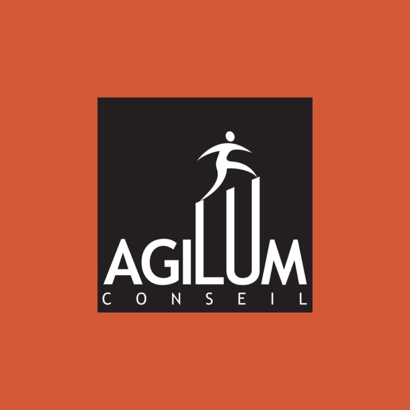 La Cerise Sur Le Logo - Agilum Conseil